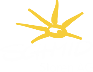Schmid Storen AG